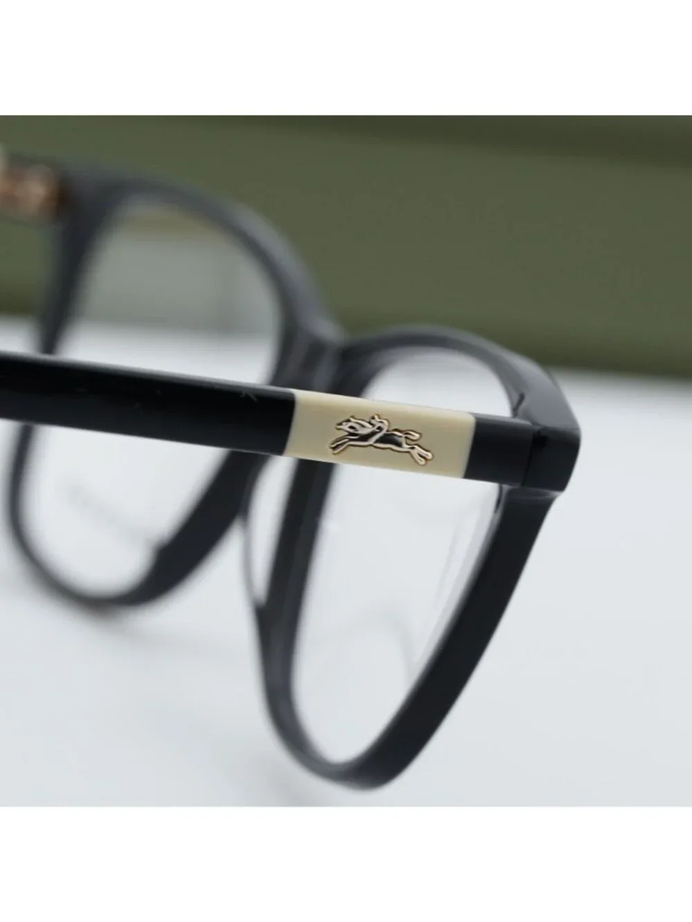 Longchamp model lo2700